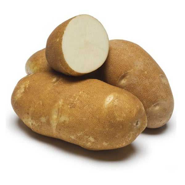 POTATO RUSET BURBANK CTN