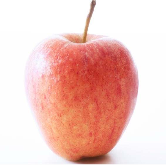 APPLE ROYAL GALA 60/65 LGE KG