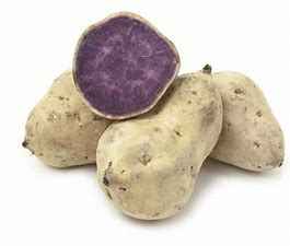 POTATO SWEET HAWAIIN CTN