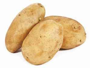 POTATO BRUSH LG SEBAGO KG