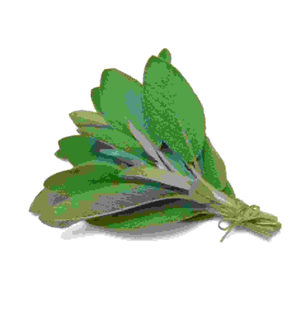 HERB SAGE BCH