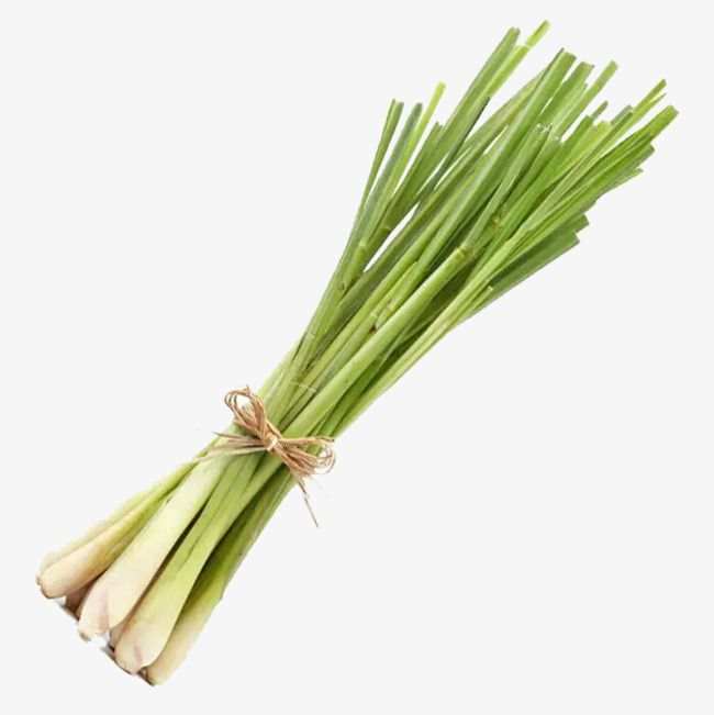 HERB LEMONGRASS BCH  (3 EACH)
