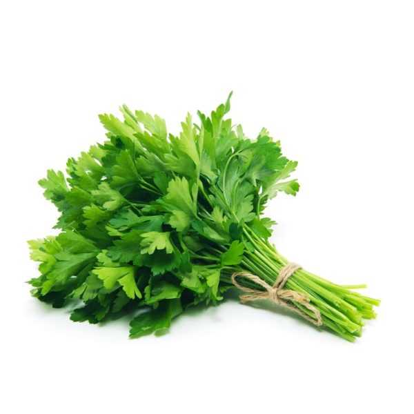 HERB PARSLEY CONTINENTAL BCH