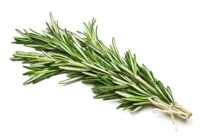 HERB ROSEMARY BCH