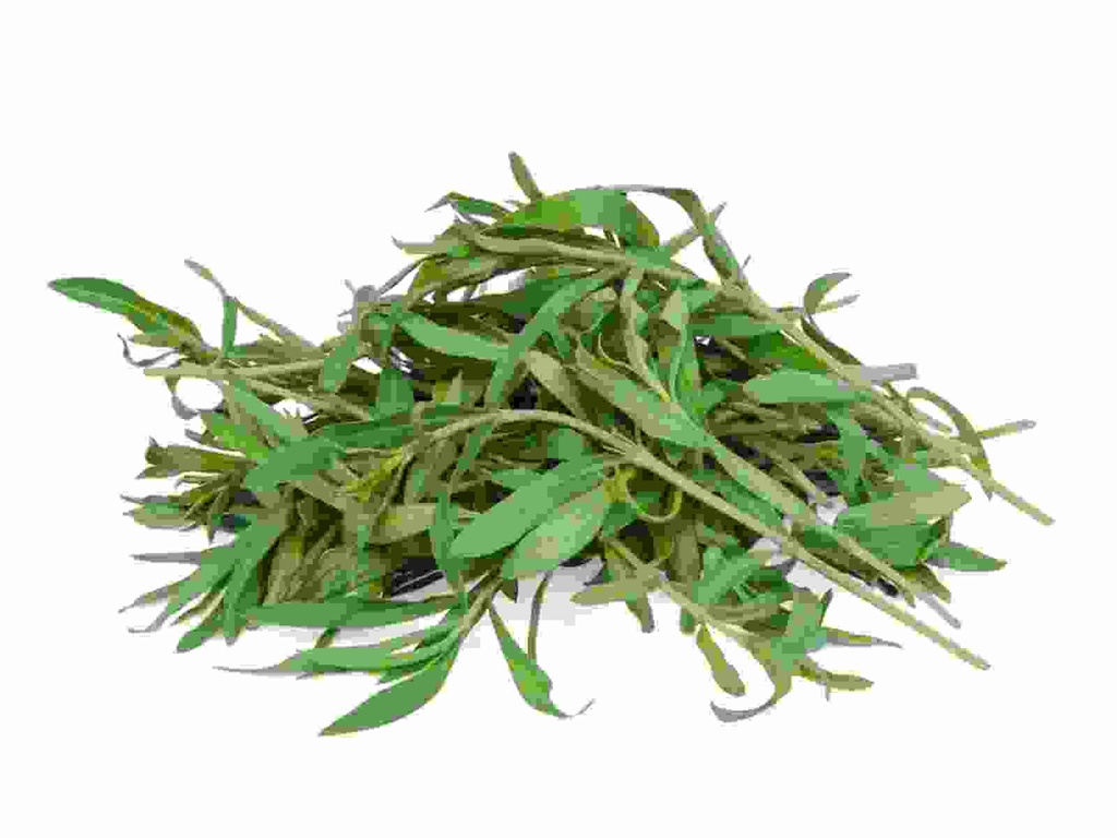 HERB TARRAGON BCH