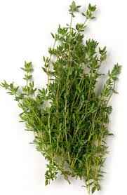 HERB THYME BCH