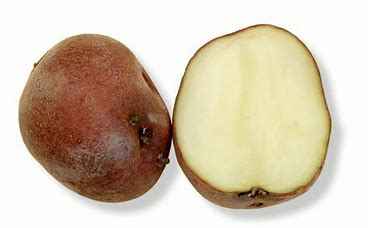 POTATO RUBY LOU 20KG BAG