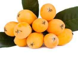 LOQUATS CTN