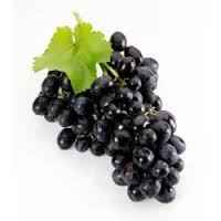 GRAPE BLACK CTN
