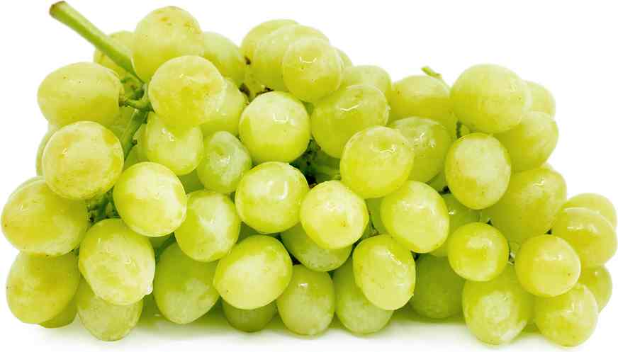 GRAPE GREEN CTN