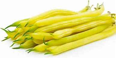 BEAN BUTTER/YELLOW CTN