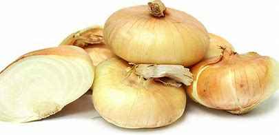 ONION CIPOLLINI KG