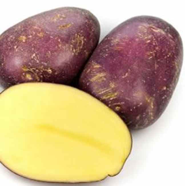 POTATO ROYAL BLUE KG