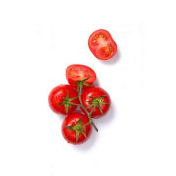 TOMATO GOLF/SML CTN