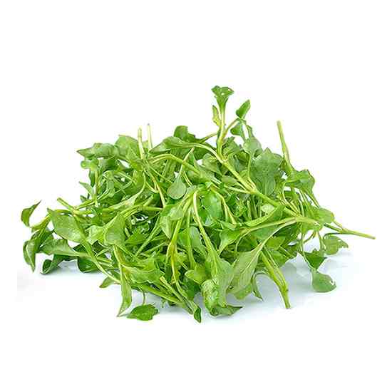 LETTUCE ASIAN CRESS MX 1.5KG