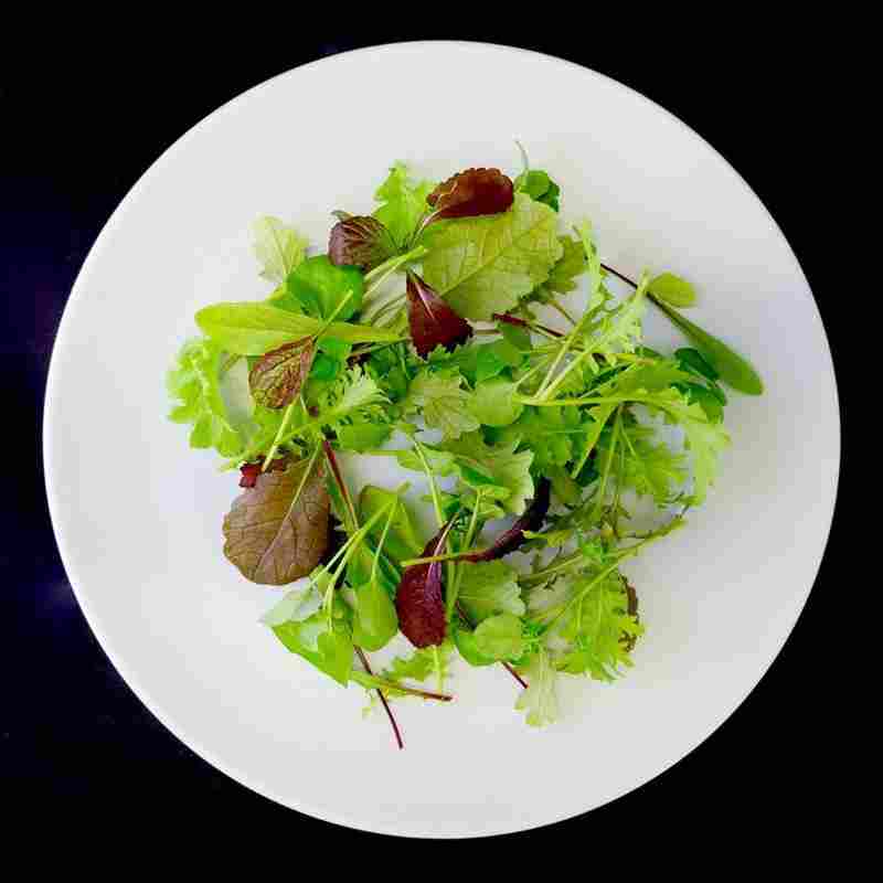 LETTUCE PANACHE PETITE 1.5 CTN