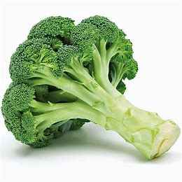 BROCCOLI KG