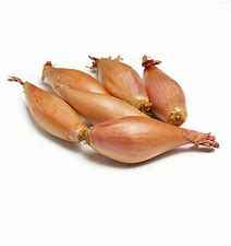 [ESCHB] ESCHALLOTS BANANA LGE KG