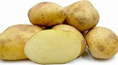 [POTKED] POTATO KING EDWARD CTN