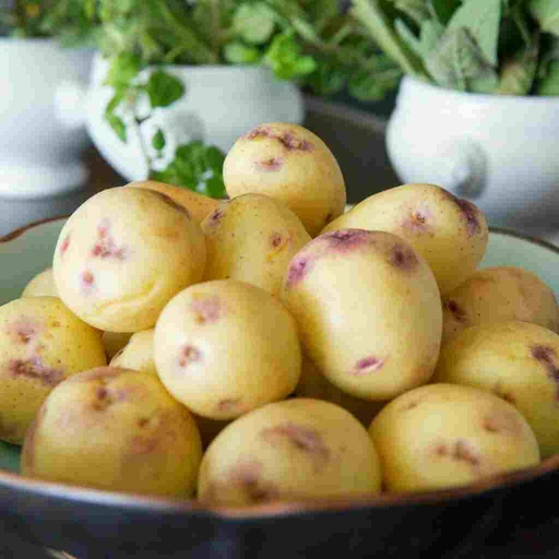 [POTKES] POTATO KESTREL CTN 15 KILO