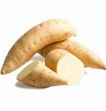 [POTSWW] POTATO SWEET WHITE CTN