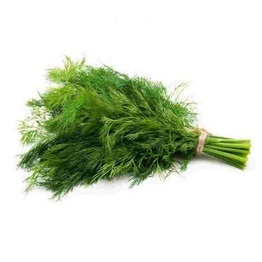 [HDIL] HERB DILL BCH