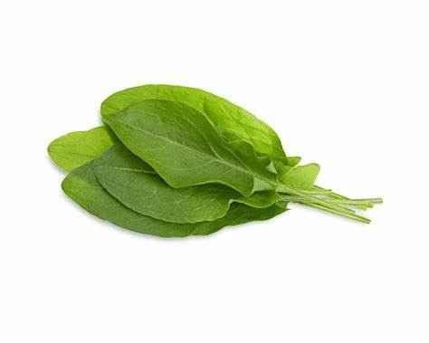 [HSORG] HERB SORREL GREEN BCH