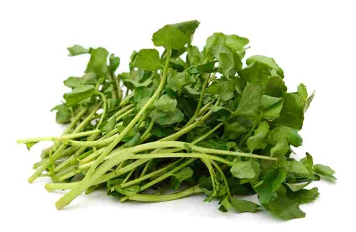 [HWAT] HERB WATERCRESS BCH