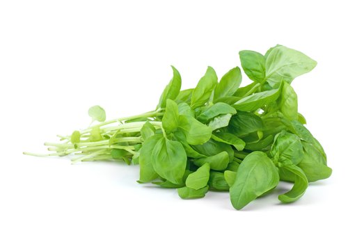 [HBAS] HERB BASIL BCH