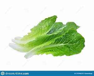 [LETBC] LETTUCE BABY COS CTN