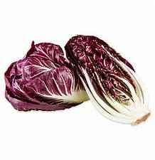 [LETTR] LETTUCE TREVISO CTN