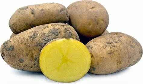 [POTNICK] POTATO NICOLA KG