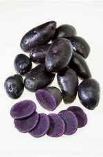 [POTBLISK] POTATO PURPLE BLISS (CONGO) KG