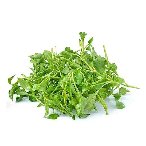 [LETA1] LETTUCE ASIAN CRESS MX 1.5KG