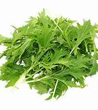 [LETMIZ] LETTUCE MIZUNA 1.5KG CTN