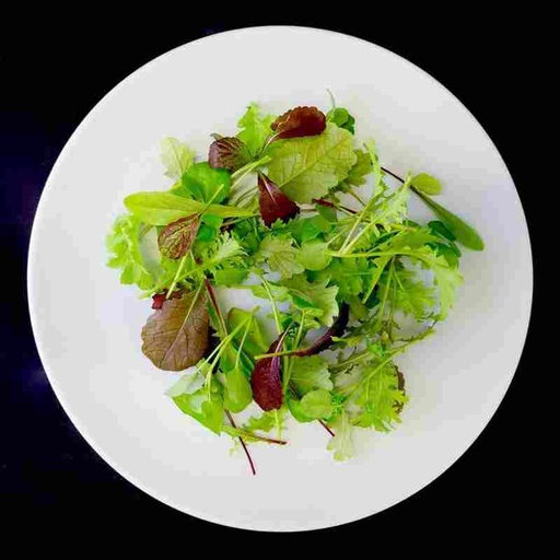 [LETP1] LETTUCE PANACHE PETITE 1.5 CTN