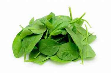 [LETS3] LETTUCE BABY SPINACH 3KG CTN