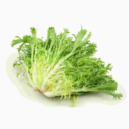 [LETFK] LETTUCE FINESSE / FRISEE KG